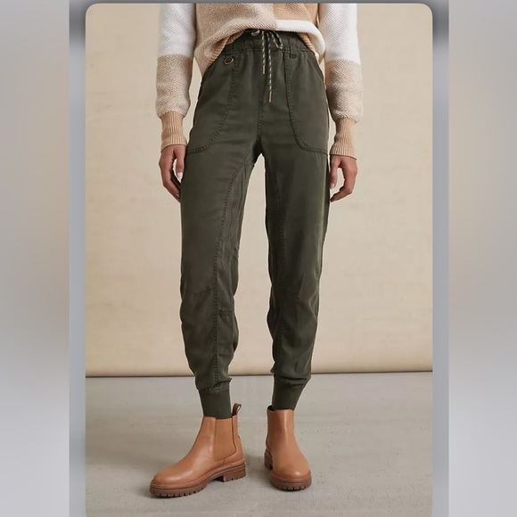 Anthropologie Pilcro Mallory Jogger Pants brick - Picture 11 of 12